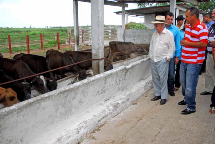 Machado Ventura visita vaquería en Las Tunas