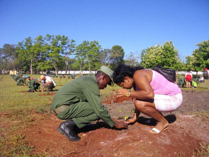 Plantan 100 cedros en homenaje al aniversario 89 de Fidel en una unidad de tanques del Ejército Central
