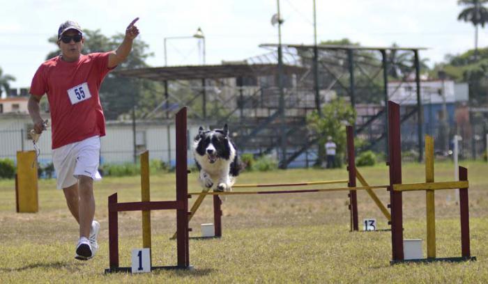 Competencia Canina.Ciudad Deportiva
