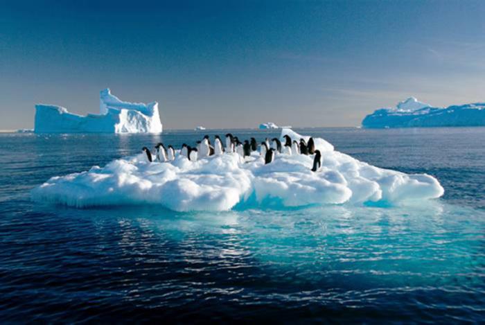 Adelie penguins drift on ice floe in the Southern Ocean off the Australian Antarctic Territory, 04 March 2007. The new glacial ice Wilkins Runway situated 65kms from the Australian research station of Casey will allow Australian scientists to greatly expand their studies on the effects climate change is having on Antarctica's fragile environment by providing 20-30 flights from Hobart each summer.  AFP PHOTO/AUSTRALIAN ANTARCTIC DIVISION/Frederique OLIVIER