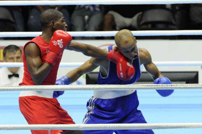 El cubano Andy Cruz ( rojo ), vencedor ante el dominicano Héctor García, en la final de la división de los 56 kilogramos del boxeo, correspondiente a los XVII Juegos Panamericanos de Toronto, Canadá.