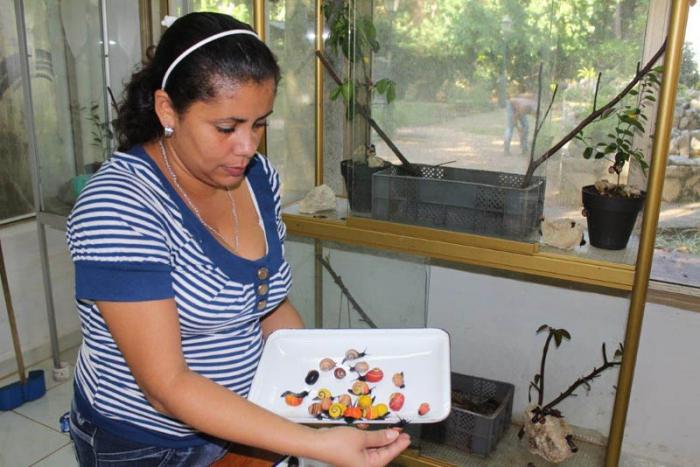  La Quinta de los Molinos promueve la educación ambiental de la población