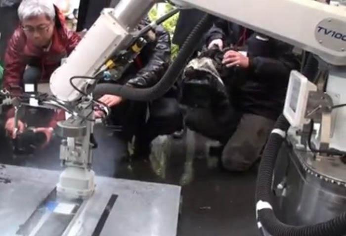 Robot para descontaminar Fukushima