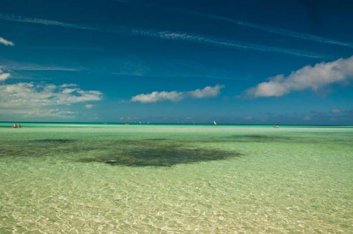 Alrededor de 390 kilómetros cuadrados de arrecifes coralino