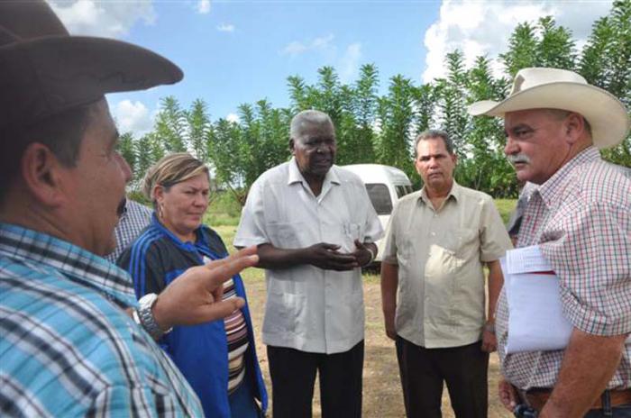 En la empresa pecuaria Managuaco, Lazo destacó la importancia del mejoramiento genético para el futuro de nuestra ganadería. 