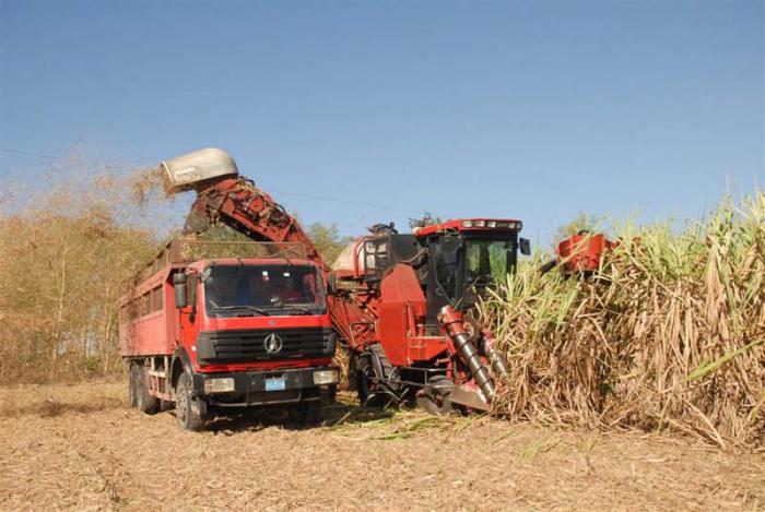 El incremento del corte con combinadas del tipo Case figura entre las mejoras previstas en el central Uruguay. 