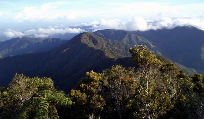 Vista desde el Pico Turquino, Sierra Maestra, Granma. Gran Parque Nacional Sierra Maestra.
