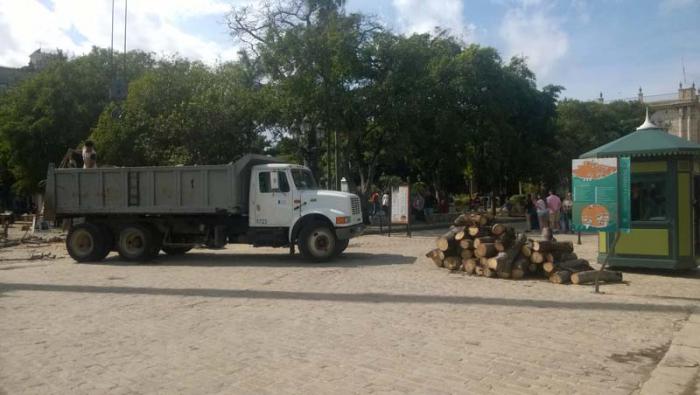 ceiba de La Habana