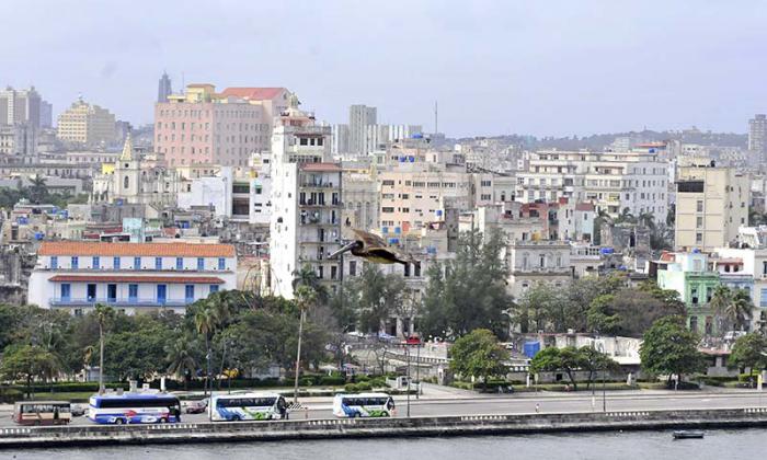 Vista de la ciudad desde la Fortaleza de San Carlos de la Cabaña.
Notese al centro el pelícano.