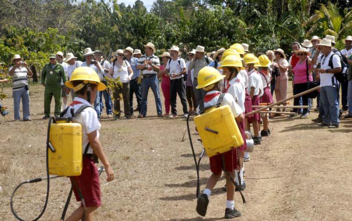 En toda la nación se verán en acción a los círculos de interés, proyectos comunitarios y programas educativos en favor de la protección del medio ambiente. 