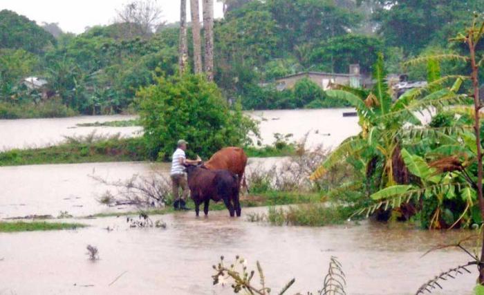 inundaciones en pinar