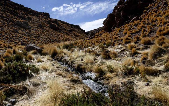 Las aguas de Silala enfrentan a Bolivia y Chile desde hace años. foto: agencia uno