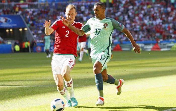 Portugal vs Hungria