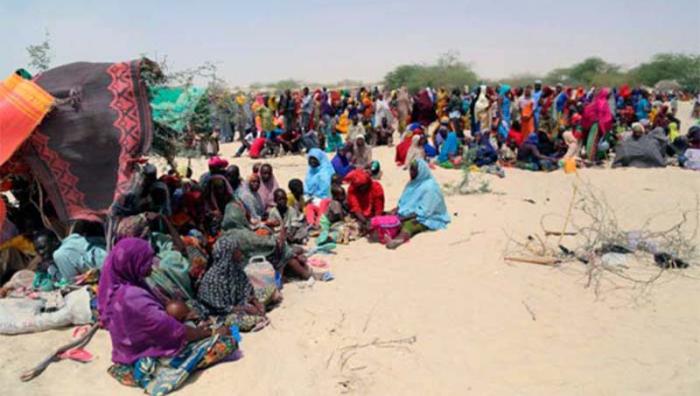 Miles de personas en Nigeria sufren la violencia en zonas de Boko Haram. 
