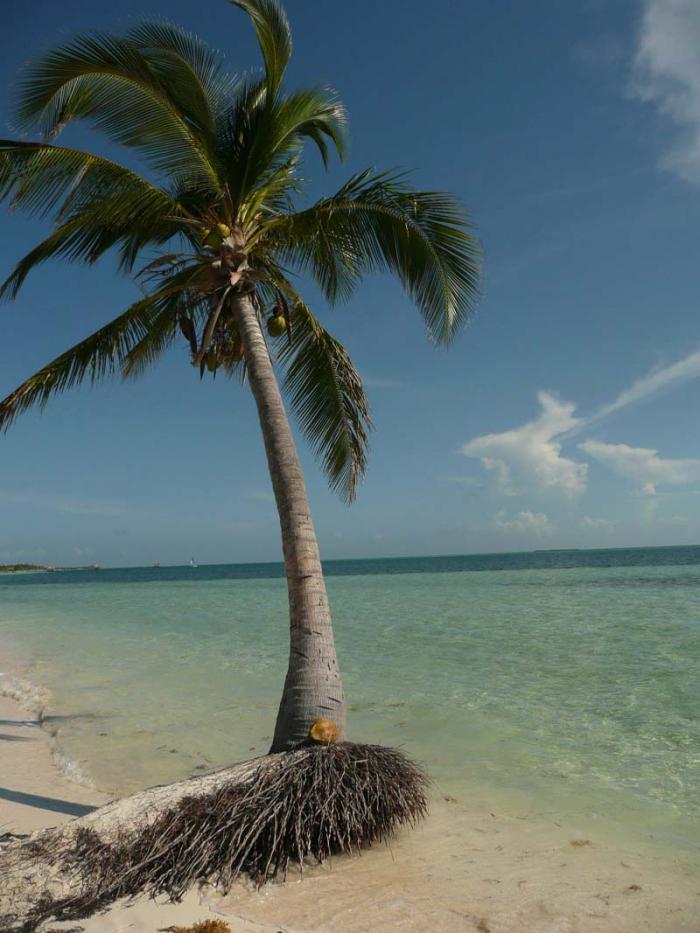 Playas Cubanas