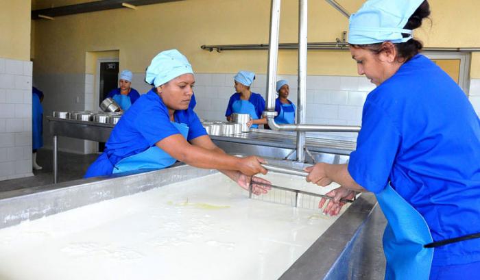 Empresa de Productos Lácteos Bayamo. La nueva línea de quesos es operada solo por mujeres.