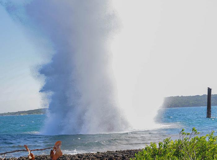 Día de la defensa 2016, maniobra de agrupación de fuerzas de la MGR del Ejército Occidental