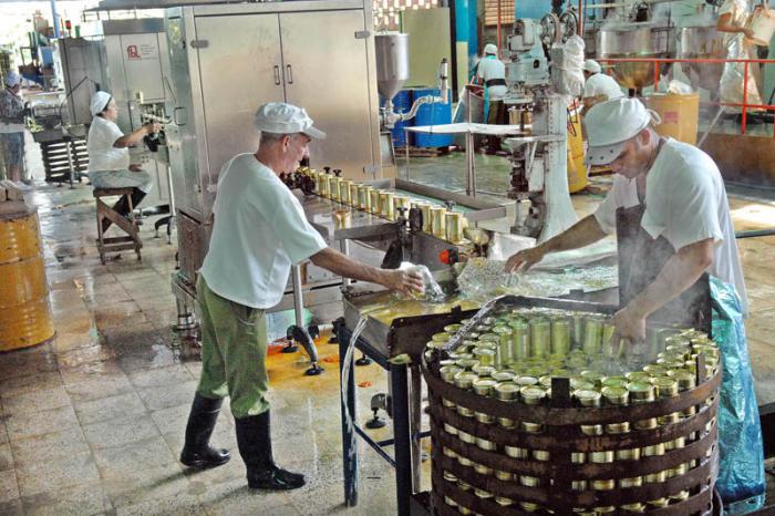 Fàbrica de Conserva de Fruta y Vegetales 