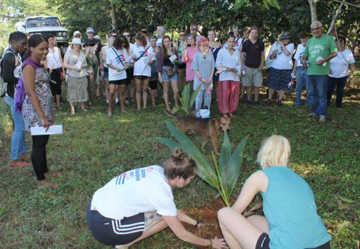 Brigadistas nórdicos en la siembra de un árbol de la amistad en el bosque martiano del Campamento Internacional Julio Antonio Mella del municipio de Caimito, provincia de Artemisa.