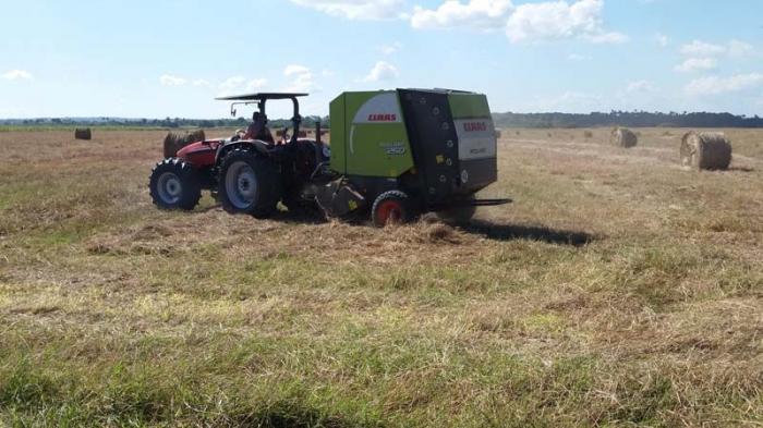 Moderna tecnología contribuye a preservar la masa ganadera ante la intensa sequía