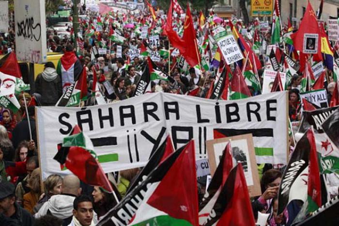 Manifestantes piden la descolonización e independencia del pueblo saharaui . 