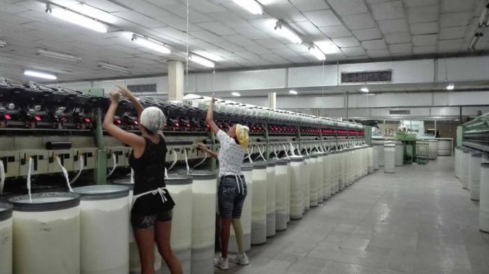 Bellotex garantiza cada año los llamados mosquiteros para el tapado de las posturas de tabaco