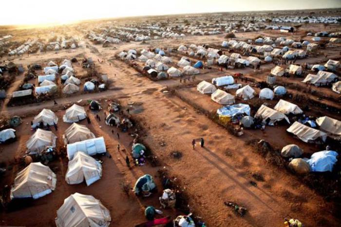 Actualmente cerca de 256 000 refugiados somalíes se encuentran en el campamento de refugiados de Dadaab, en Kenia. 