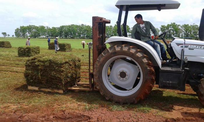 TRACTOR