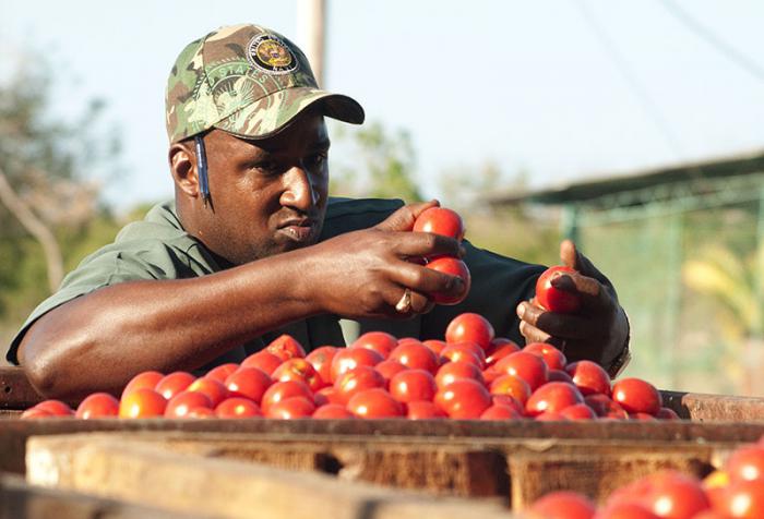 empresa agropecuaria isla de la juventud