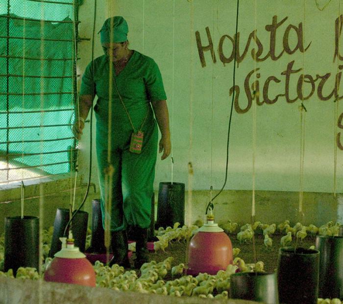 Nave aves isla de la juventud