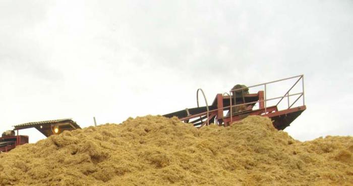 La materia prima para la producción de tableros está garantizada por los centrales aledaños