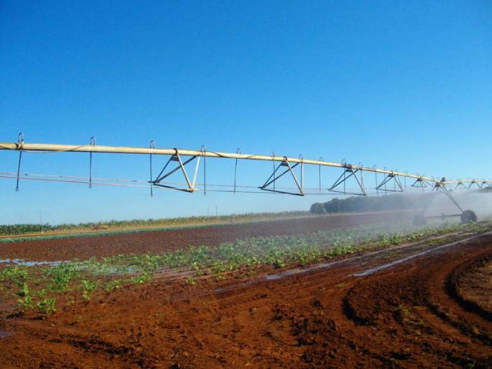 Aplican estrategia contra la sequía en Agricultura de Cienfuegos