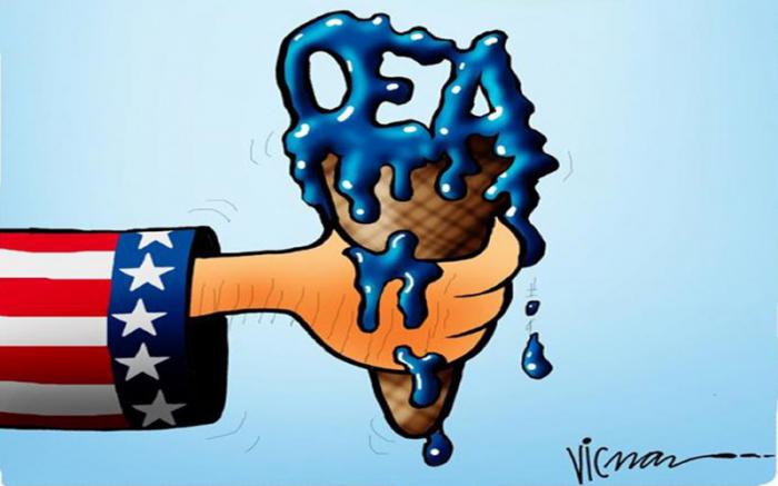 oea caricatura.