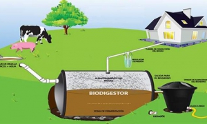 biodigestores