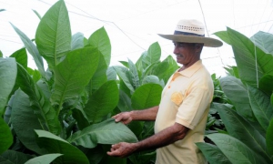 El otro amor de Pancho Lazo