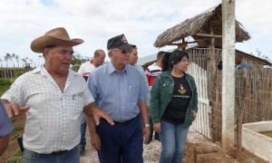 campesinos