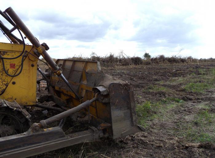 Nada ha podido detener el empuje de hombres y máquinas en el combate contra el marabú y las malezas. fotos del autor