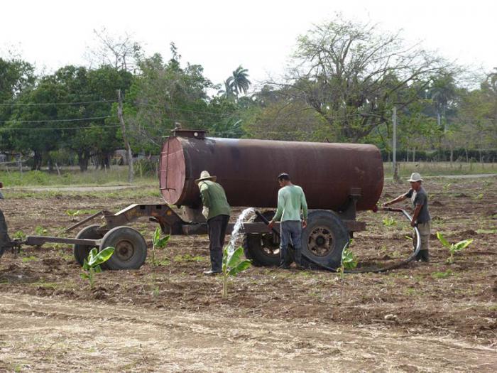 Siembra con pipas en el campo.Polo Productivo Melanio Ortiz