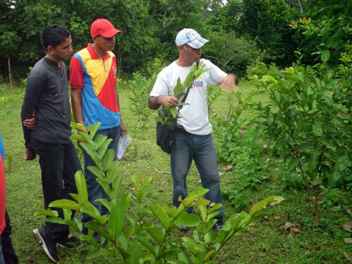 misión agroalimentaria venezuela