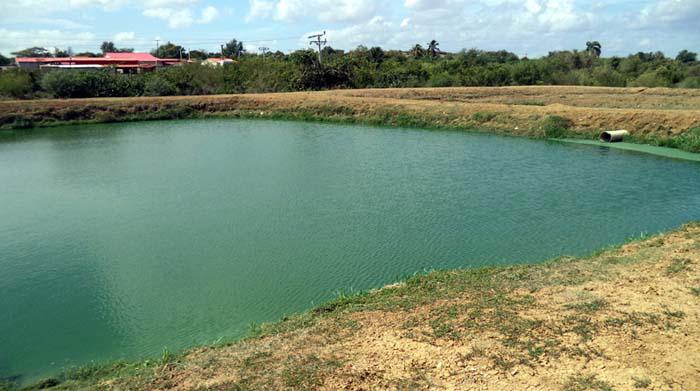 La bahía de Nipe es una de las beneficiadas. 