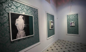 expo de Glauber Ballester en Villa Manuela