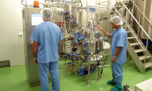 Centro de Inmunología Molecular