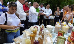 Agricultura pinareña por aumentar el abastecimiento al turismo