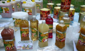 Agricultura pinareña por aumentar el abastecimiento al turismo