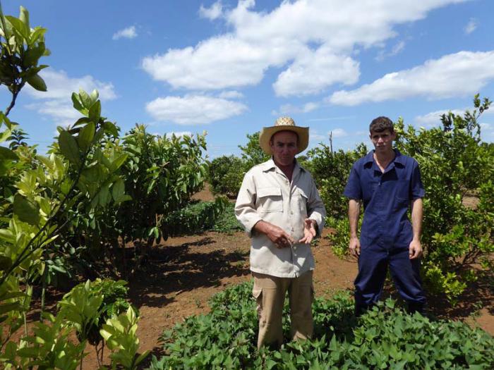 Padre e hijo apuestan por el cultivo de la  tierra. foto del autor