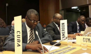 Cuba aboga en la ONU por diálogo y cooperación para promover los DD.HH.