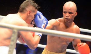 Box Serie Mundial VII 