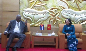 Asociación de Amistad Vietnam-Cuba