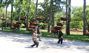Parques de Beijing