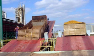 Empresa de Cítricos Victoria de Girón